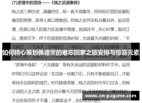 如何精心策划佩德里的难忘回家之旅安排与惊喜元素