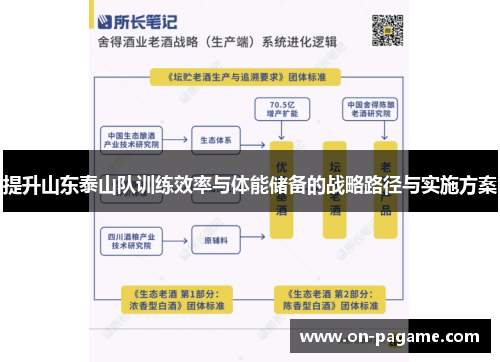 提升山东泰山队训练效率与体能储备的战略路径与实施方案