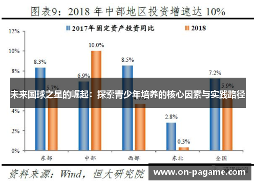 未来国球之星的崛起：探索青少年培养的核心因素与实践路径