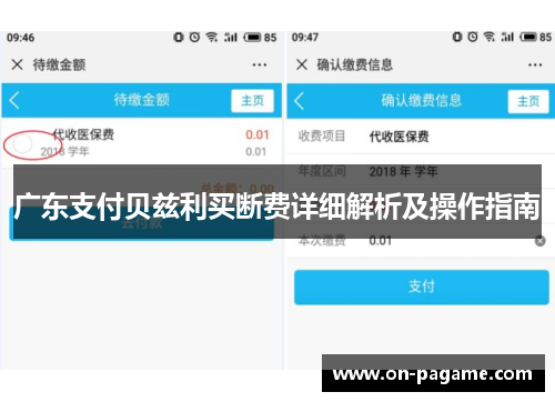 广东支付贝兹利买断费详细解析及操作指南