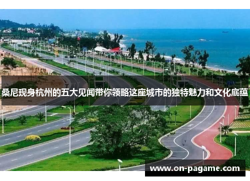 桑尼现身杭州的五大见闻带你领略这座城市的独特魅力和文化底蕴