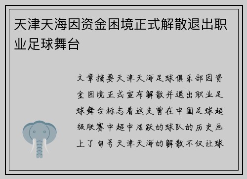 天津天海因资金困境正式解散退出职业足球舞台