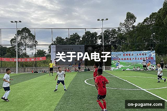 关于PA电子